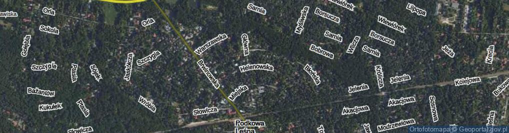 Zdjęcie satelitarne Helenowska ul.